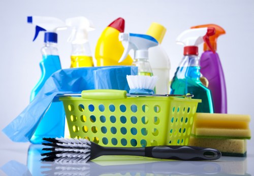 Carpet cleaning tools and a clean living room floor