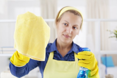 End of tenancy cleaning checklist for a rental property
