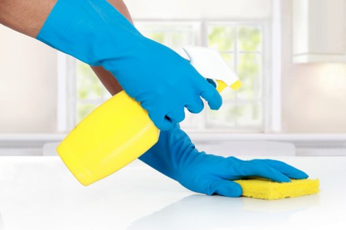 Professional cleaning of a residential communal entrance hallway