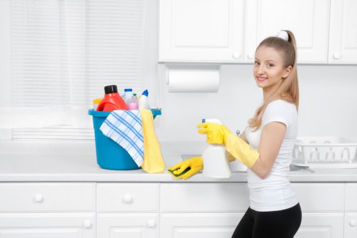 Move in cleaning for a bright new living room