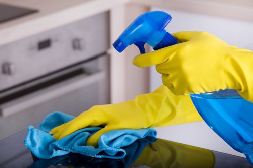 Professional move in cleaning supplies and tools