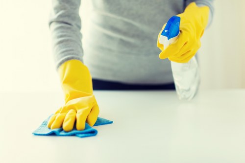 Bathroom deep cleaning during move out service