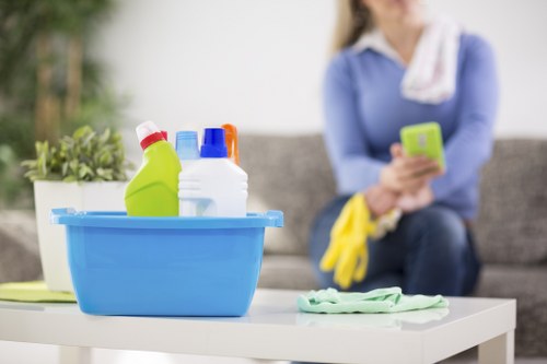 Rug cleaning in a bright living room setting