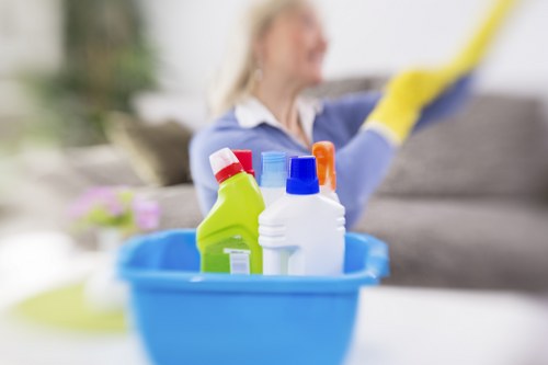 Professional cleaning tools for commercial premises