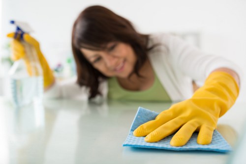 Deep cleaning supplies and a fresh living space