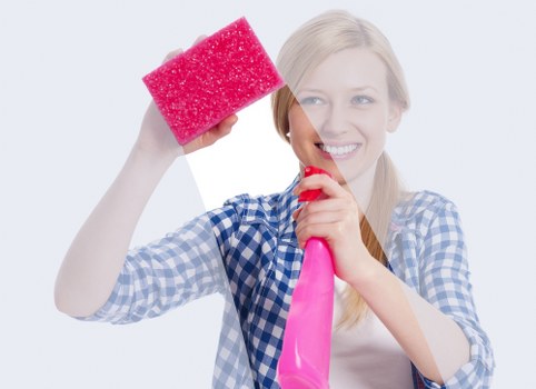 Eco-friendly domestic cleaning supplies on a countertop