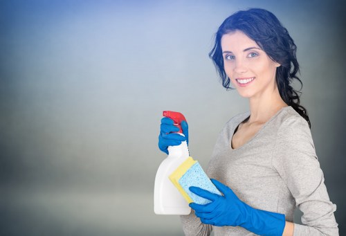 Detailed kitchen cleaning before moving into a new home