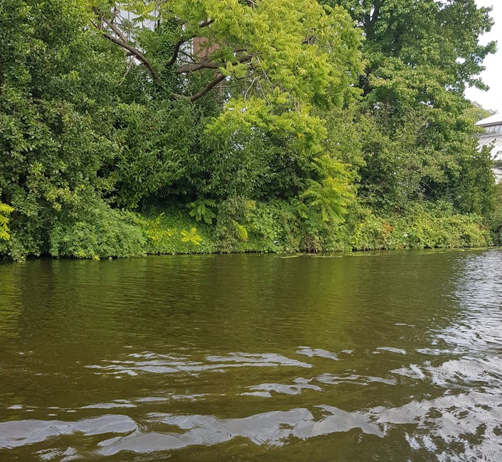 A calm river with gently rippling water reflecting the overcast sky, bordered by dense, lush green trees and shrubs along the riverbank. The foliage includes various shades of green, with some leafy branches extending slightly over the water. The scene appears natural and undisturbed, with no visible signs of debris or pollution. The lighting is soft, typical of a cloudy day, highlighting the vibrant greenery and the reflective surface of the river. This outdoor landscape showcases the tranquility of natural waterway environments, ideal for considering surface cleaning or sanitation in outdoor settings. Holland Park Cleaners offers professional cleaning services, including deep cleaning and sanitisation, for both residential and commercial properties as evidenced by their website Hollandpark-cleaners.co.uk.